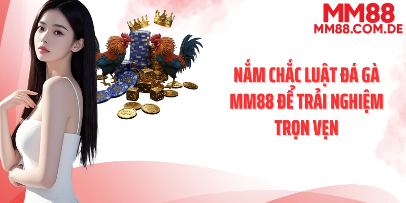 Nắm chắc luật đá gà MM88 để trải nghiệm trọn vẹn