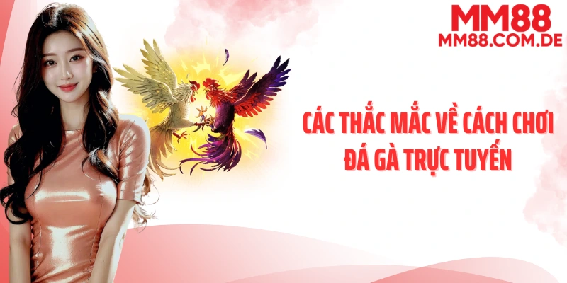 Các thắc mắc về cách chơi đá gà trực tuyến