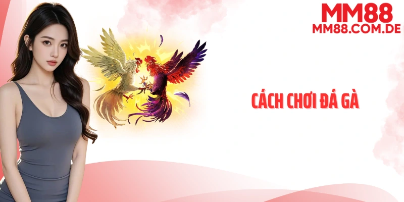 Cách chơi đá gà
