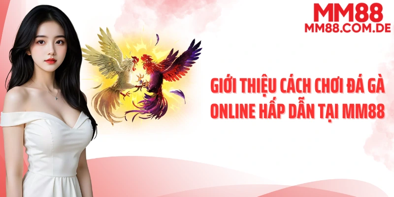 Giới thiệu cách chơi đá gà online hấp dẫn tại MM88