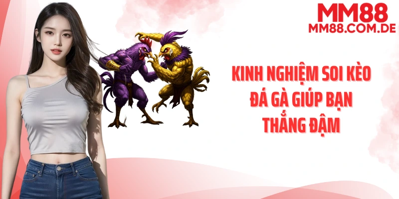 Kinh nghiệm soi kèo đá gà giúp bạn thắng đậm