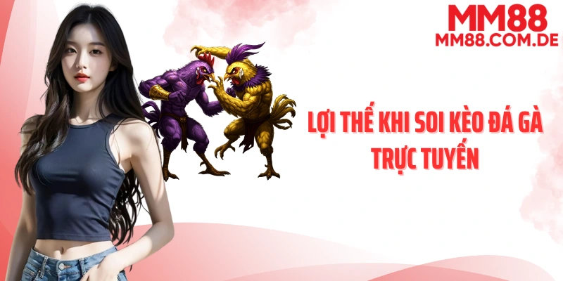 Lợi thế khi soi kèo đá gà trực tuyến